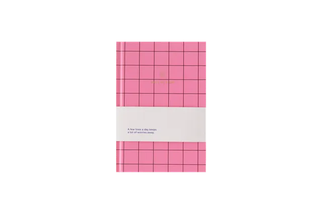 a-journal-one-line-a-day-tagebuch-pink-kariert image 1