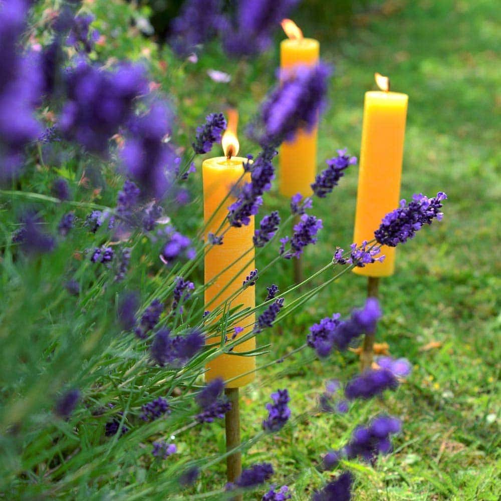 m-ller-citronella-fackel-33-cm-gelb-gartenfackel image 2