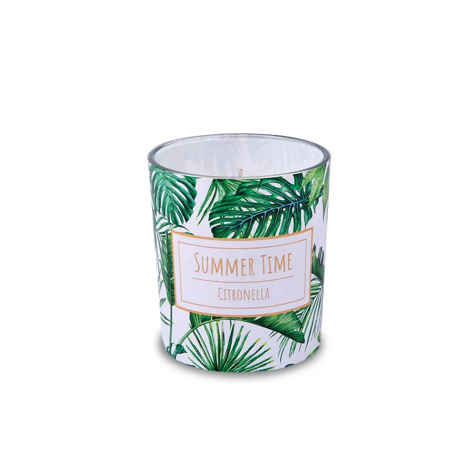 m-ller-kerzen-citronella-kerzenglas-jungle-80-70-duftkerze image 1