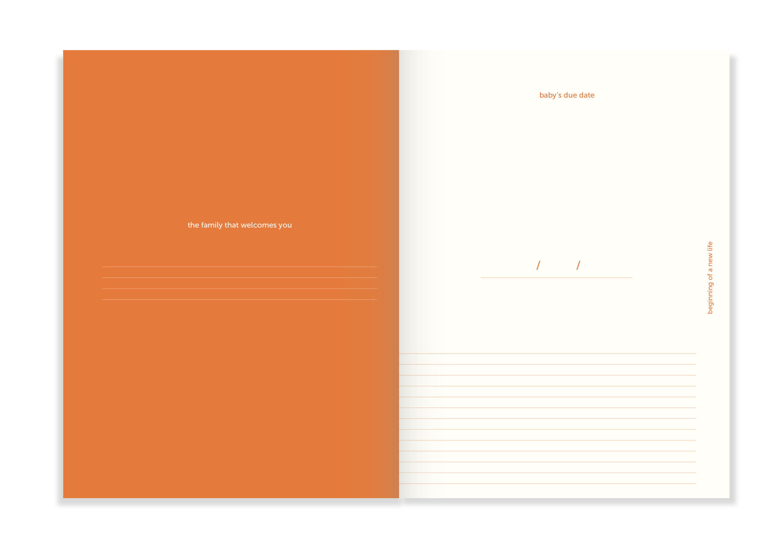 a-journal-nine-months-journal-tagebuch-9-monate image 6