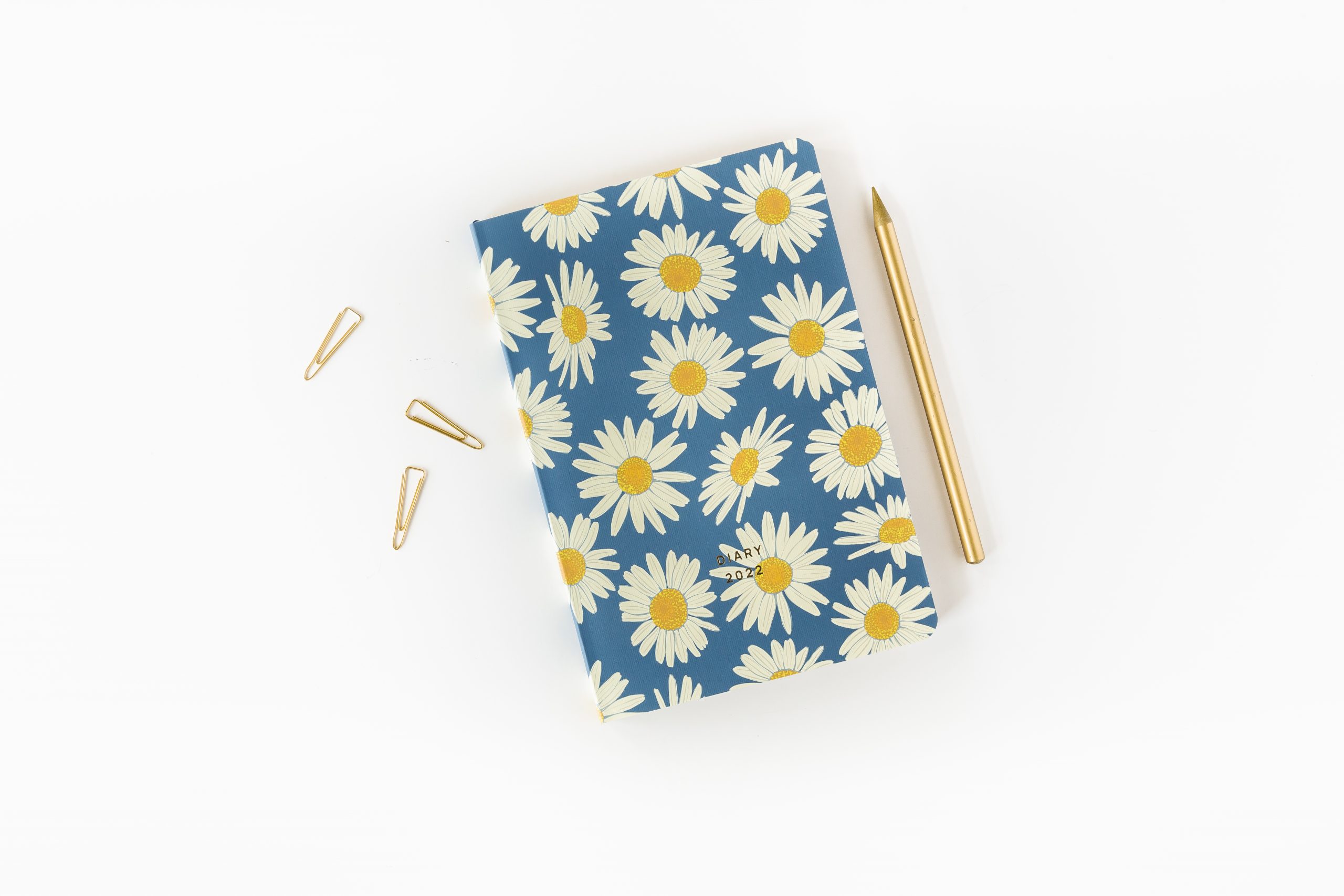a-journal-fabrique-diary-tagebuch-daisies-2022 image 2