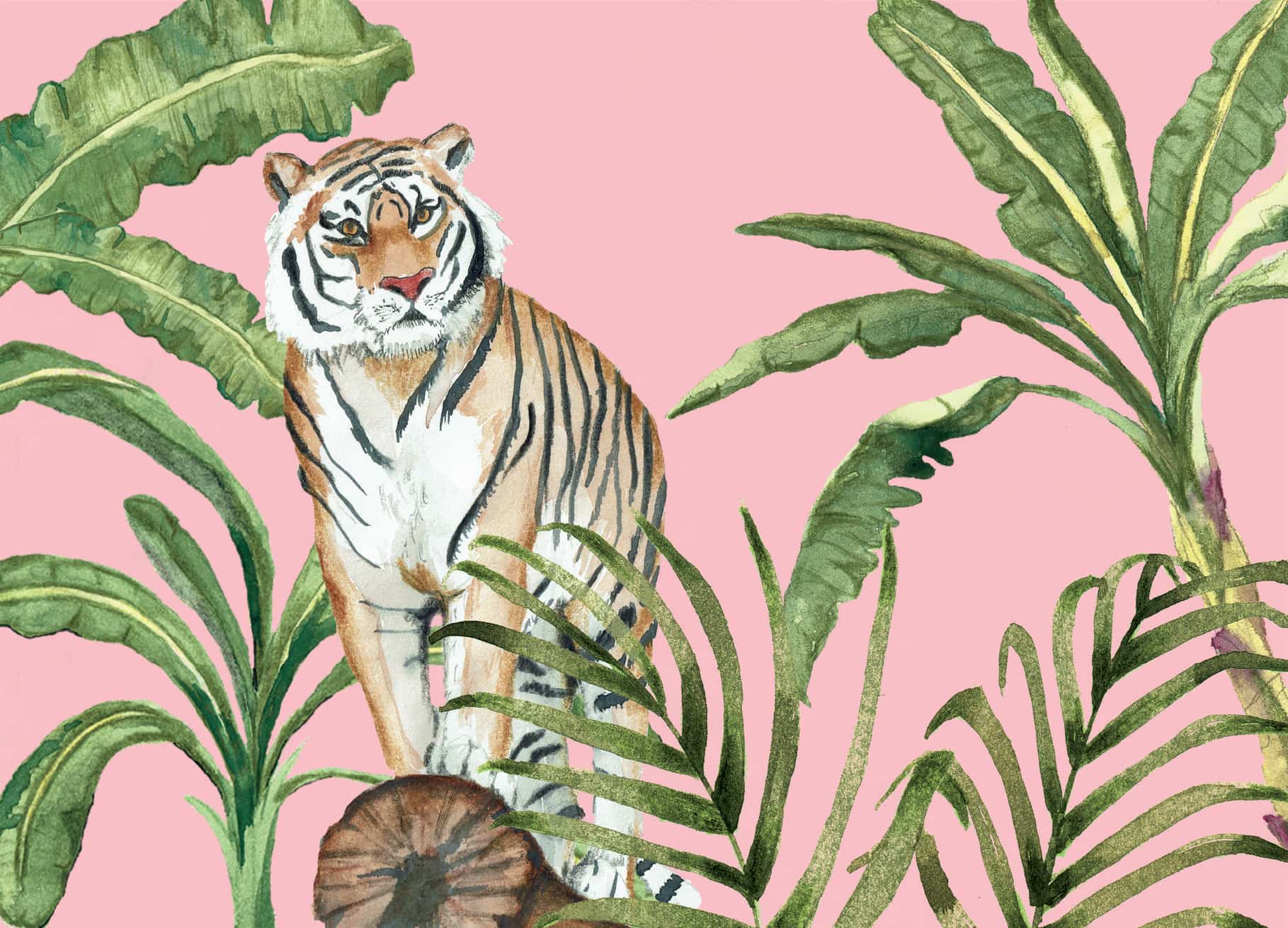 a-journal-lifestyle-ink-postkarten-set-jungle-15-st-ck-tiermotive image 4