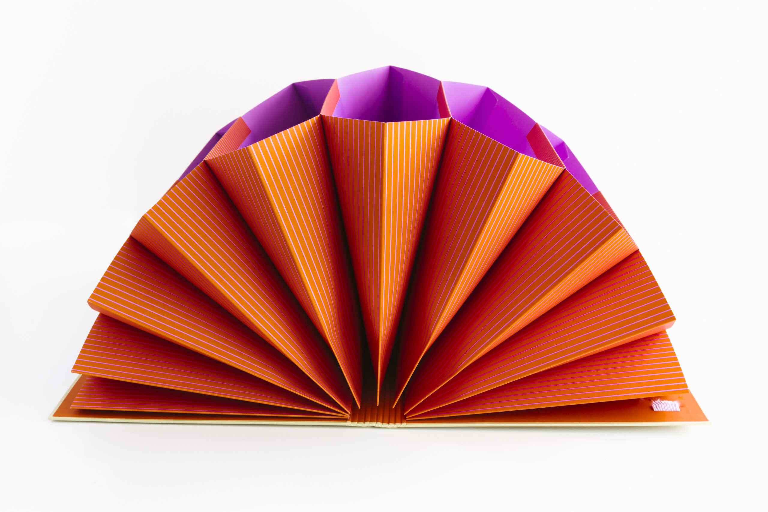 a-journal-accordion-folder-f-chermappe-mit-f-chern-papier image 4