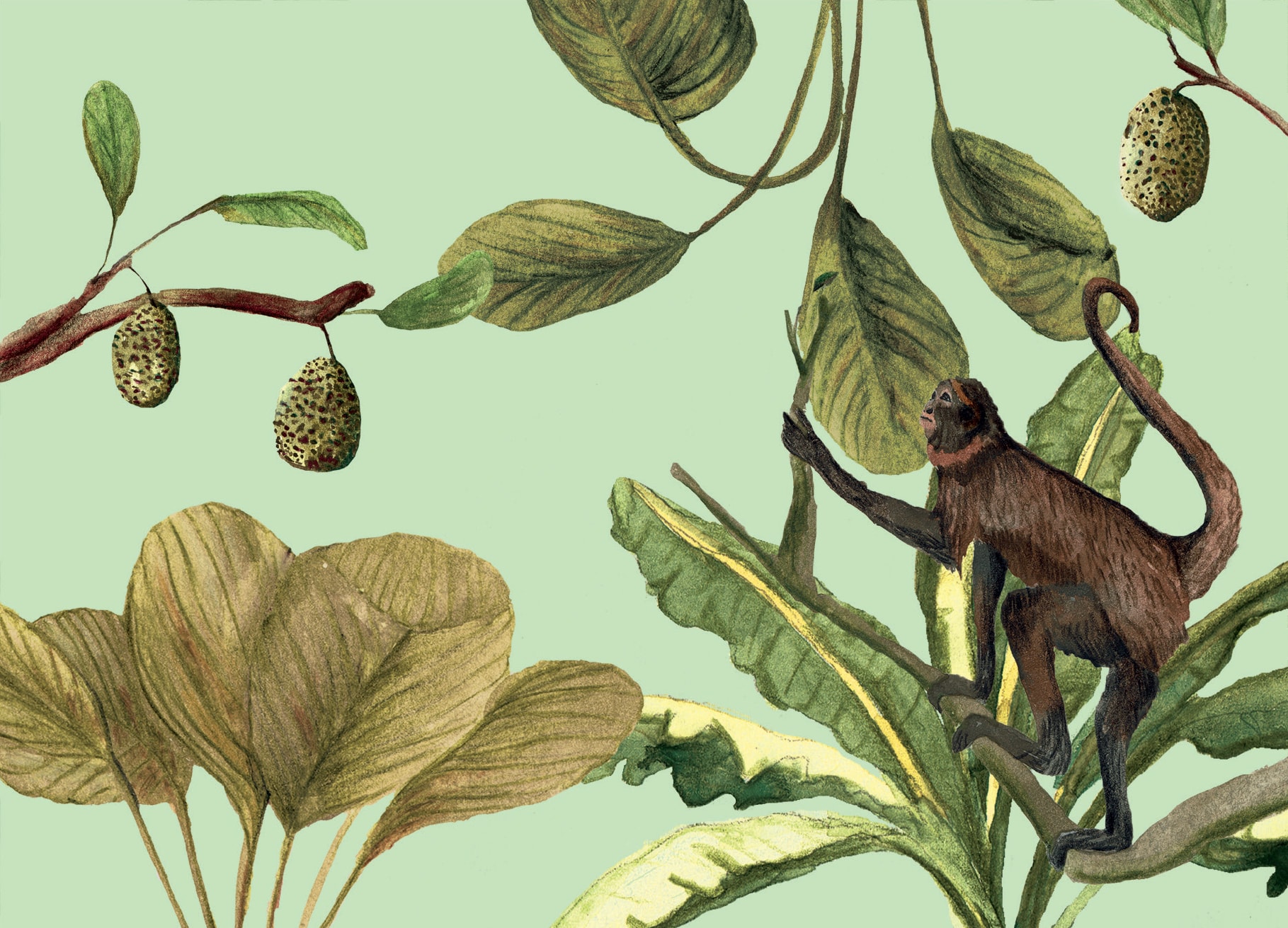 a-journal-lifestyle-ink-postkarten-set-jungle-15-st-ck-tiermotive image 3