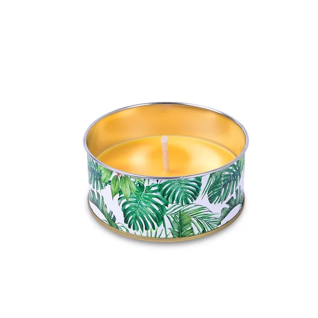 m-ller-kerzen-citronella-cup-jungle-44-100-m-ckenschutz-kerze image 1