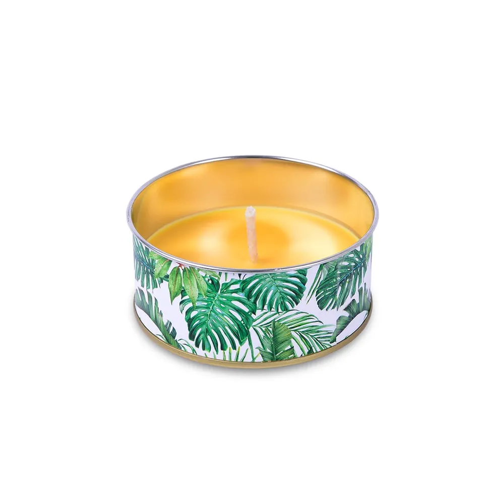 m-ller-kerzen-citronella-cup-jungle-44-100-m-ckenschutz-kerze image 1