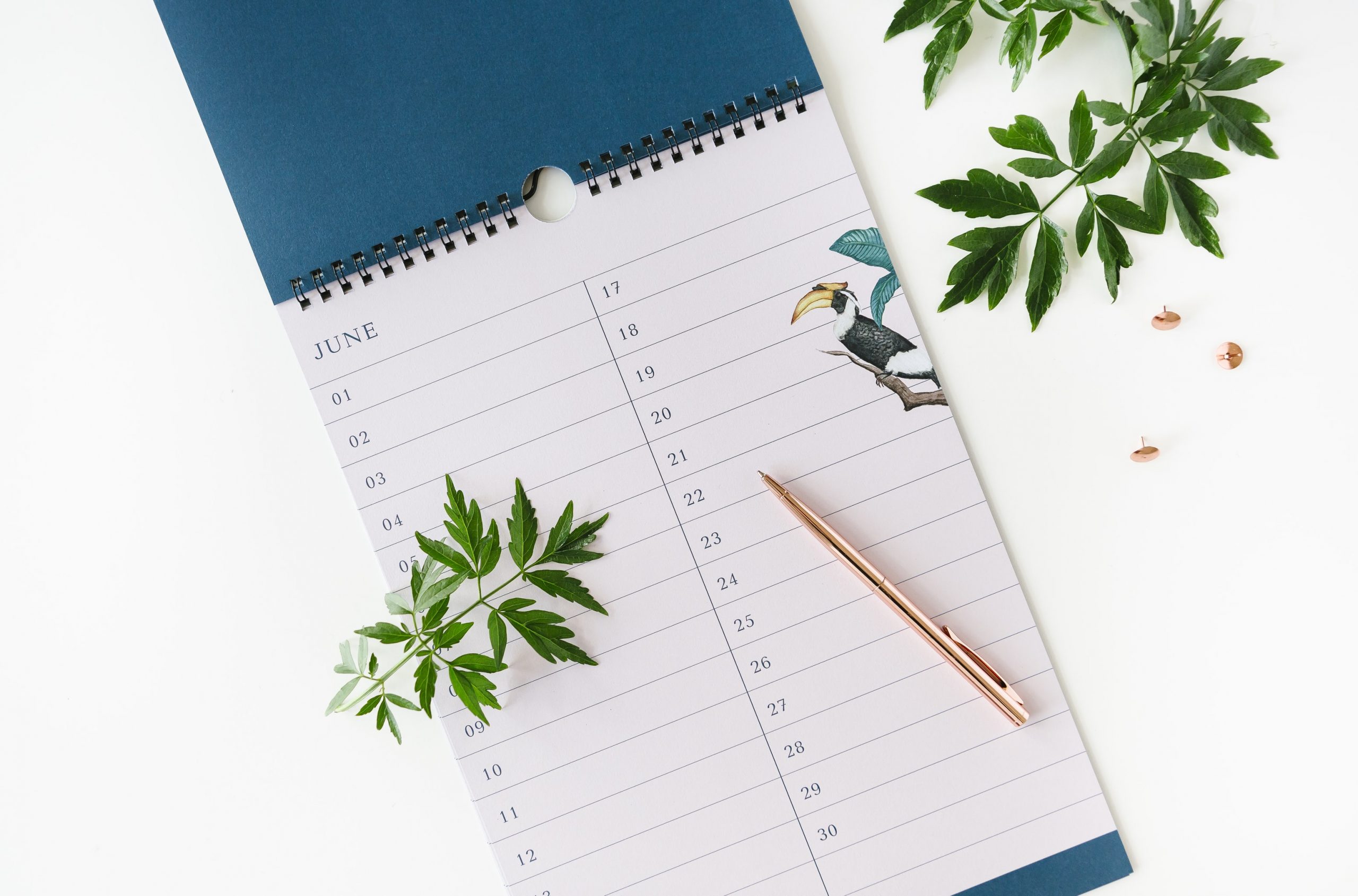 a-journal-ink-geburtstagskalender-kalender-ohne-jahr image 4