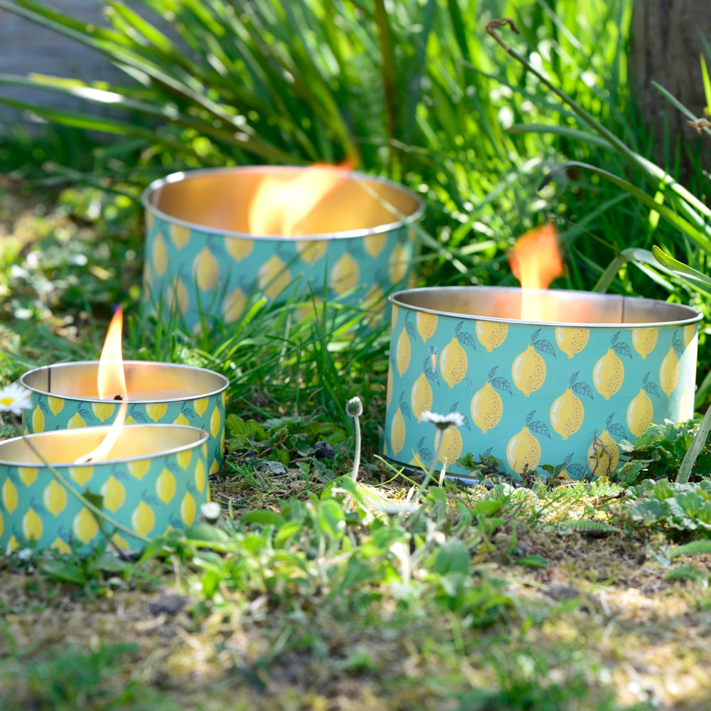 m-ller-kerzen-citronella-citronella-set-citronellakerze-garten image 2