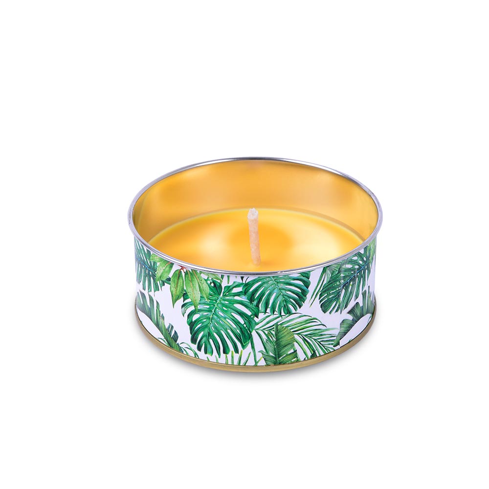 m-ller-kerzen-citronella-cup-jungle-44-100-m-ckenschutz-kerze image 1