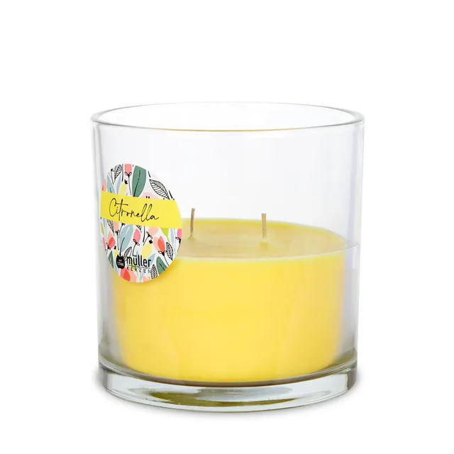 m-ller-kerzen-citronella-2-docht-kerzenglas-120-110-outdoor image 1