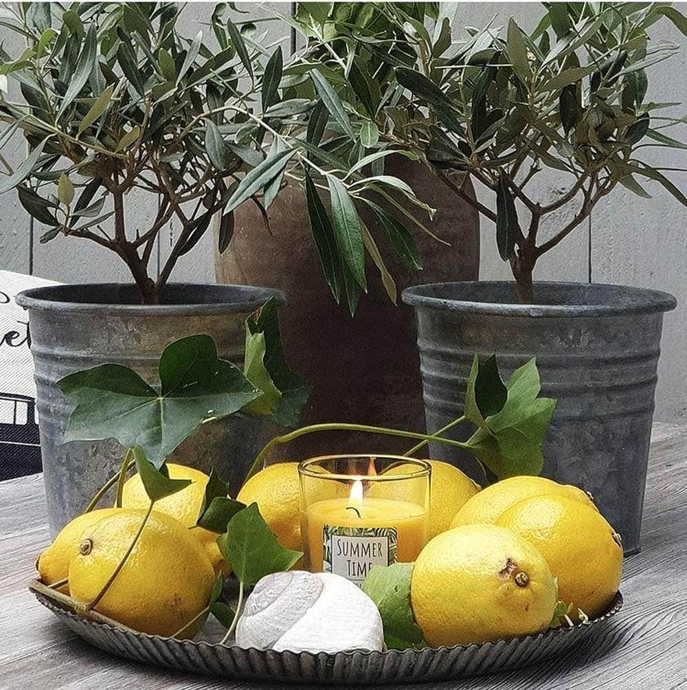 m-ller-kerzen-citronella-kerzenglas-jungle-65-70-m-ckenschutz image 2